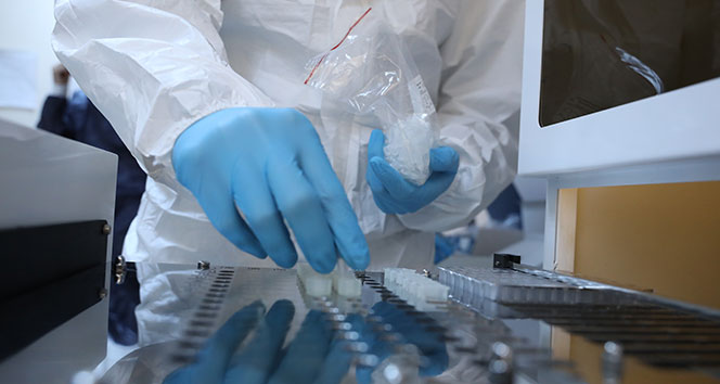 Çin açıkladı: Aşıyı bulduk