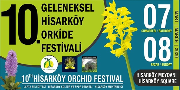 Hisarköy Orkide Festivali cumartesi başlıyor