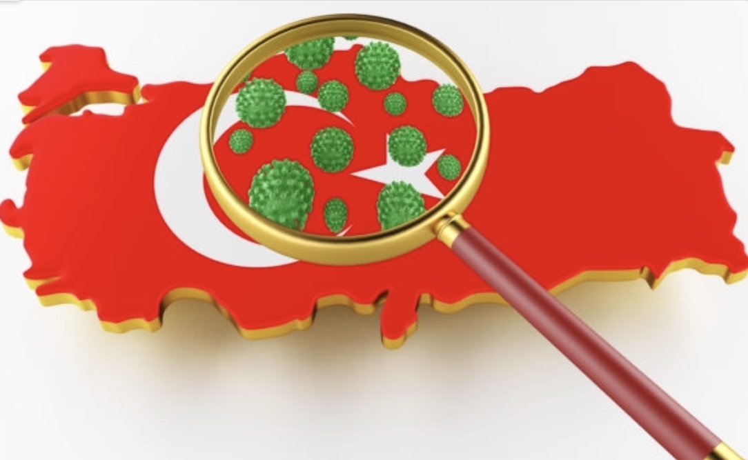 'Türkiye'de 600 bin kişi ölebilir'