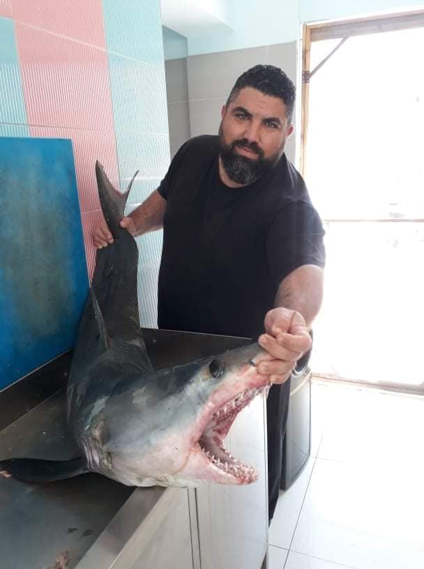 Mağusa'da 40 kiloluk köpek balığı yakalandı