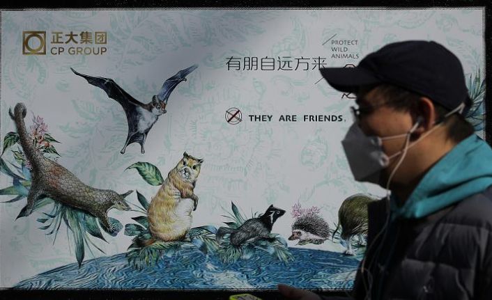 Çin'de vahşi hayvan pazarları yeniden açıldı