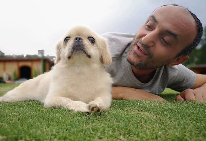 Köpeğinin öldüğünü öğrenen Ersin Korkut'tan ilk paylaşım
