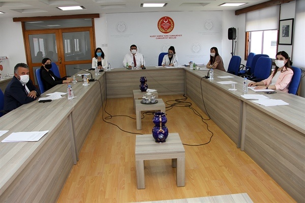 İmha edilecek ilaçlarla ilgili Meclis Araştırma Komitesi raporunu oy birliğiyle onayladı