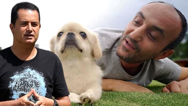 Acun Ilıcalı canlı yayında müjdeyi verdi: Ersin'e köpek...