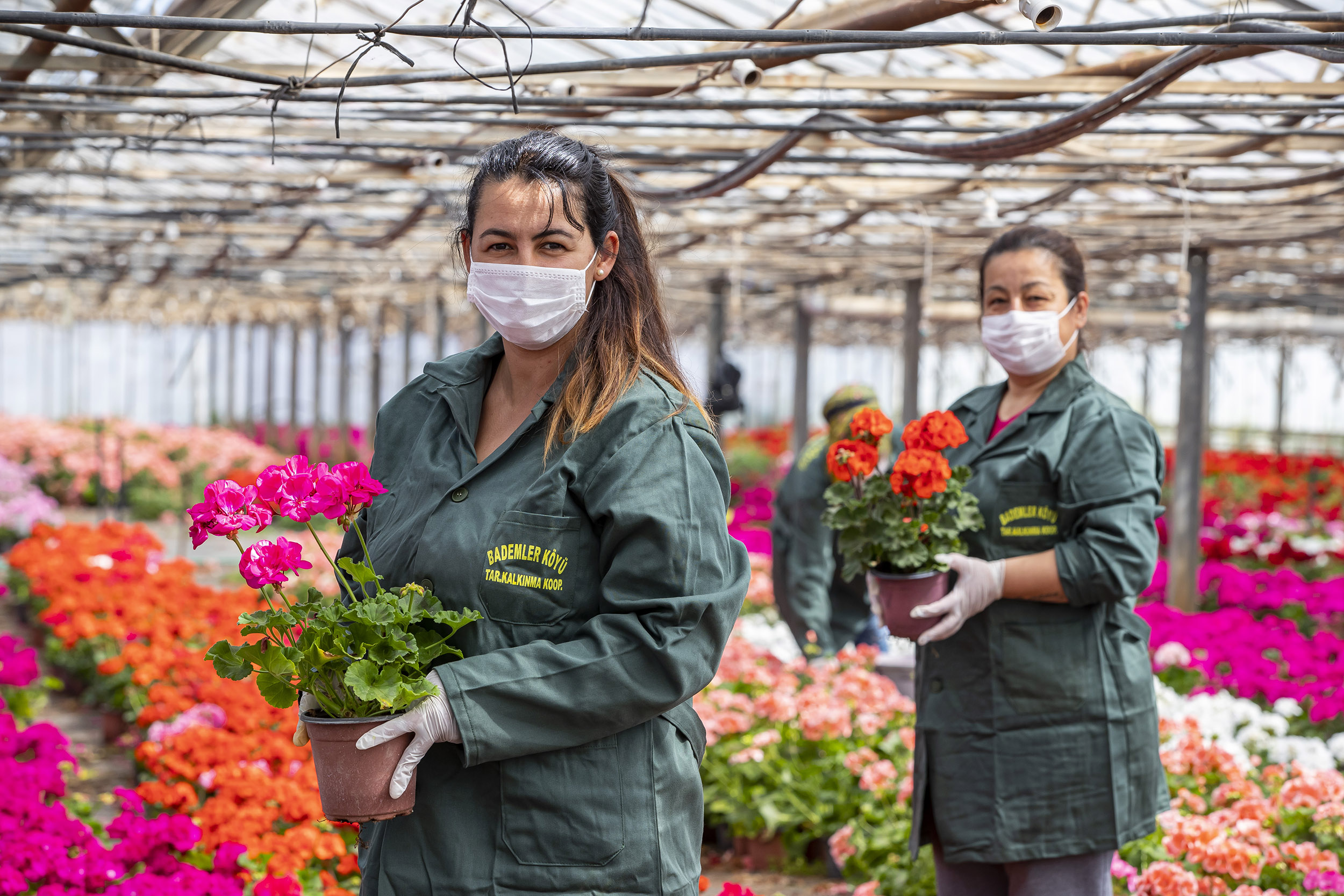 Özersay'ın önerisi hayat buldu: Çiçekçiler evlere servis yapabilecek