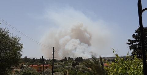 TEPEBAŞI'NDA ORMAN YANGINI