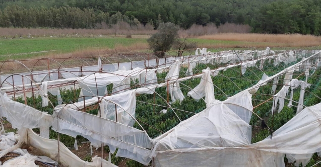 5 üreticiye 107 bin TL fırtına tazminatı