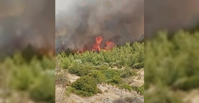 Aplıç'taki yangına 5 helikopter ve uçakla müdahale