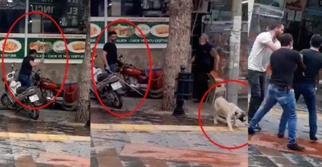 Köpeği sopayla döven kişiye, barınakta hayvanlara bakma cezası