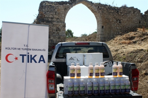 TİKA’dan Kırmızı Palmiye Böceğiyle Mücadele Projesi’ne destek