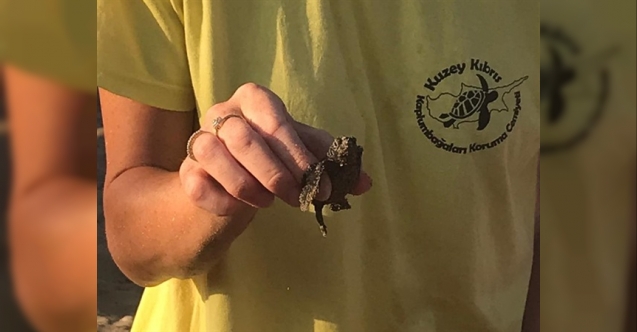 Çocuklar için “Caretta Caretta şöleni”