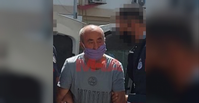 Köpeğe cinsel tacizde bulunan sapık yakalandı: "Çok sarhoştum"