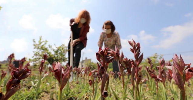 “Üreticiye sahip çıkın yoksa  ürete ürete bu insanlarımız batacaktır”