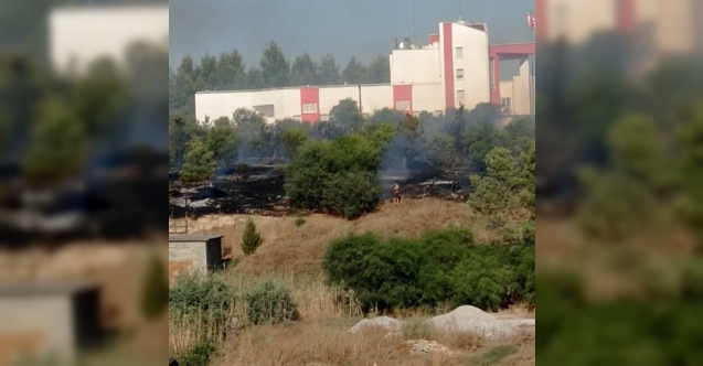 Domuzcular'da yangın paniği