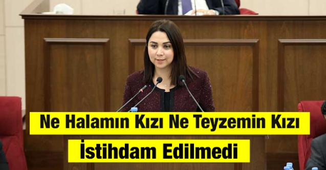 Ne Halamın Kızı, Ne Teyzemin Kızı İstihdam Edilmedi