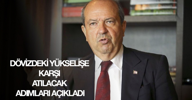 TATAR DÖVİZDEKİ YÜKSELİŞE KARŞI ATILACAK ADIMLARI AÇIKLADI