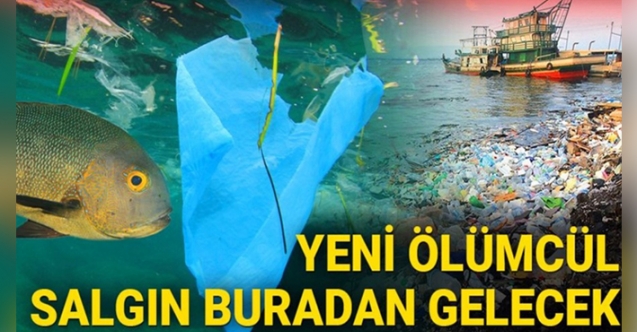 Yeni ölümcül salgınlara deniz ve okyanuslardaki plastik kirliliği neden olacak