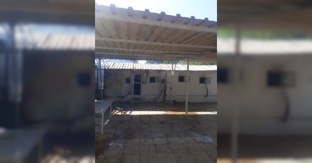 Salamis kamp alanında yangın çıktı!