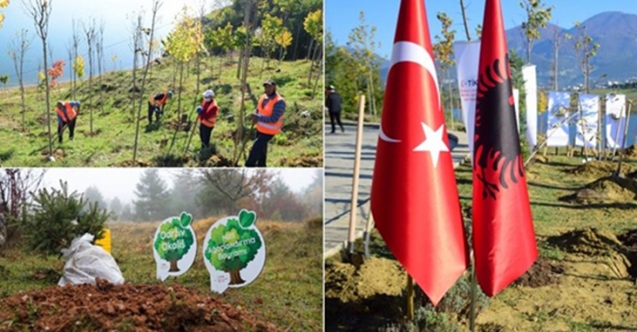 Binlerce fidan toprakla buluştu