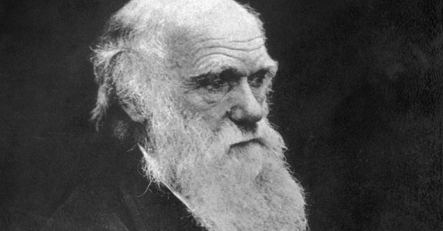 Darwin'in notları 20 yıldır kayıp