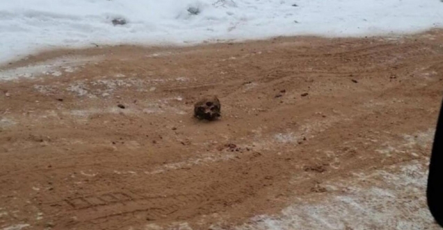 Donmuş otoyolda insan kalıntıları bulundu