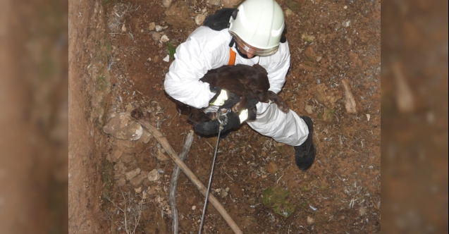 Kuyuya düşen köpek, operasyonla kurtarıldı