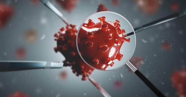 Mutasyonlu vaka sayısında patlama