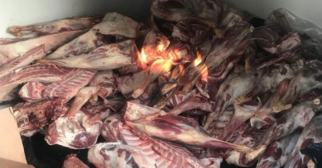 600 kiloya kaçak et yakalandı