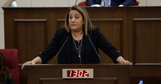 “Bütün ülkeyi birbirine düşürdünüz”