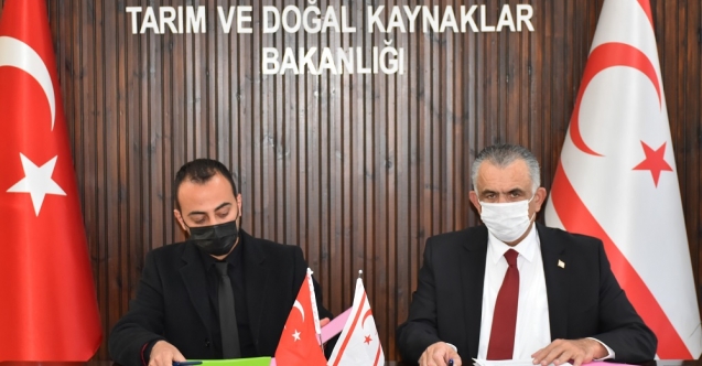 Eczacılardan Kalkanlı’ya 10 bin fidan
