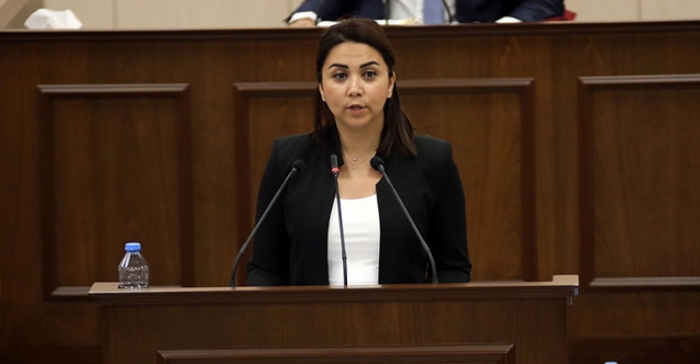 "Hükümet, devlet ciddiyeti ile davranmalı"