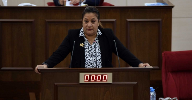 "Hükümet kendi sorunlarıyla ilgilenmekten esas konuları atlıyor"