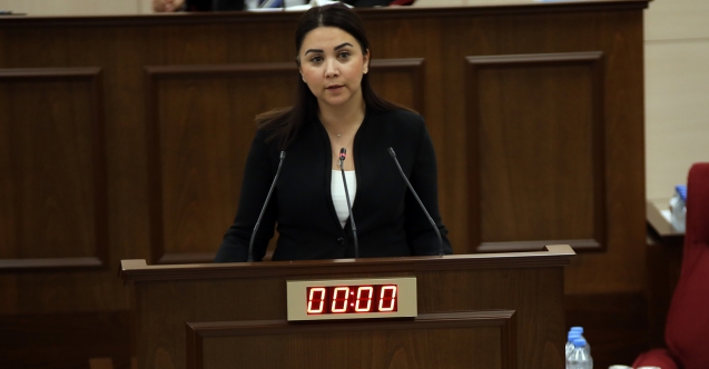 “Hükümet, demokratik teamülleri yok sayıyor”