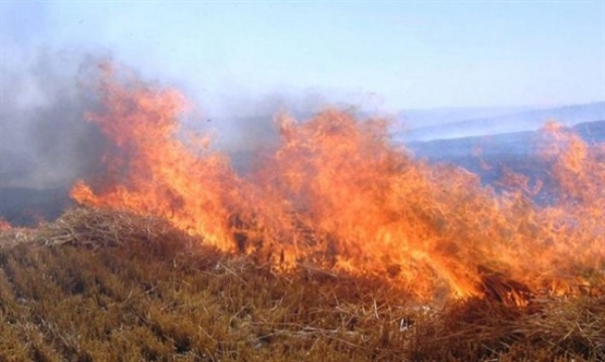 Korkutan yangın