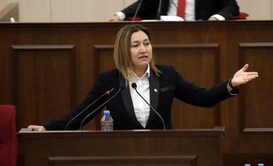 Yasemin Öztürk : “Benim için eylem yaparken koronavirüse yakalanması Allah’ın takdiri