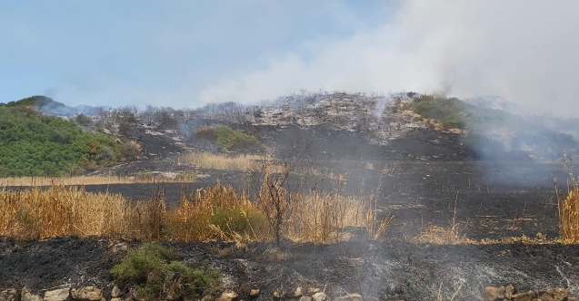 Karpaz'da korkutan yangın