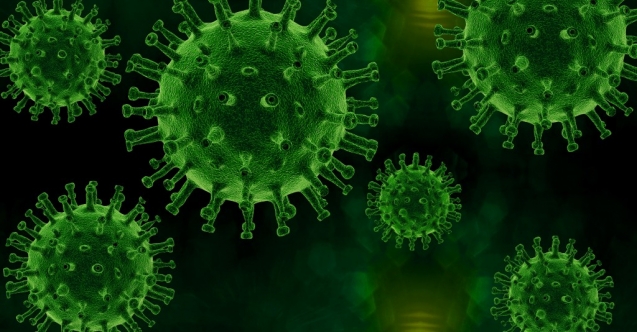 Son 24 saatte toplam 6 bin 1 test yapıldı, 27 pozitif vakaya rastlandı