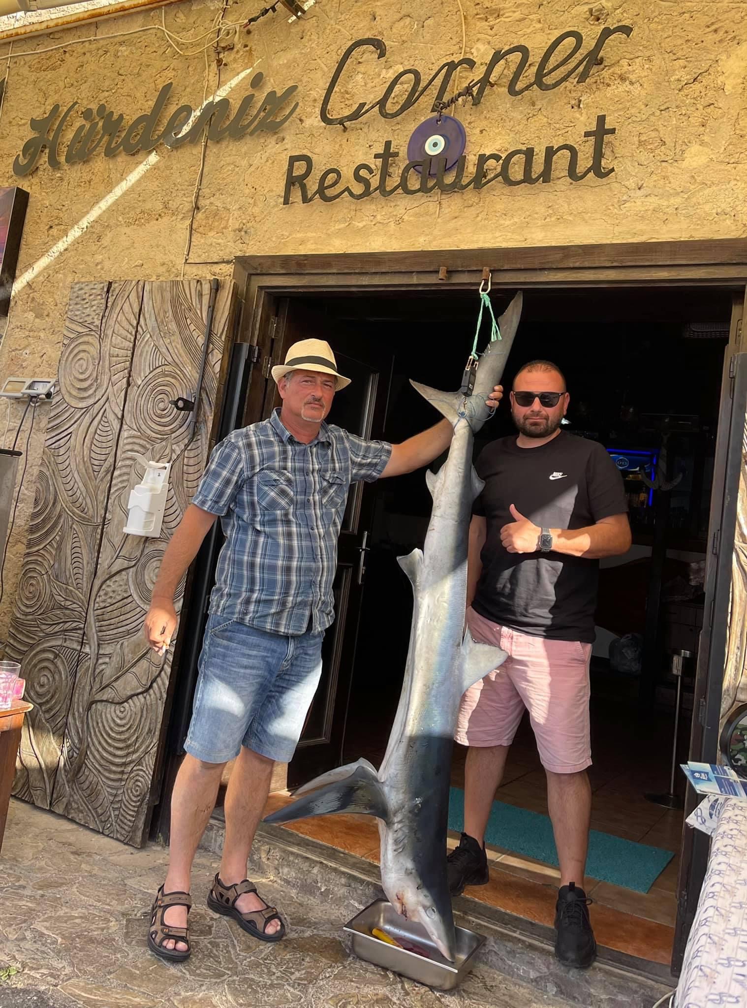 Girne’de mavi köpek balığı yakalandı