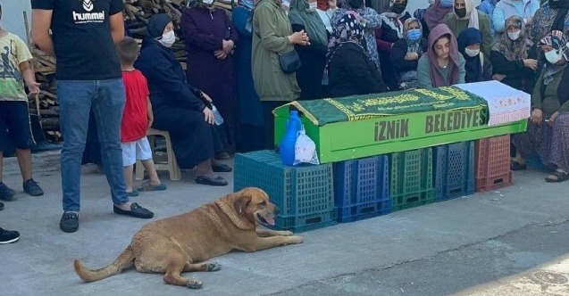 Ölen sahibinin tabutunun başından ayrılmadı