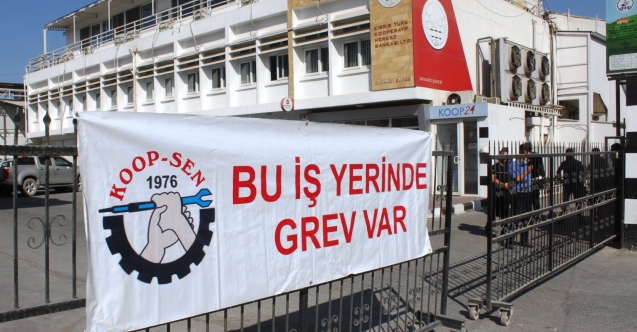 "Partizanca 22 istihdam daha yapılıyor"
