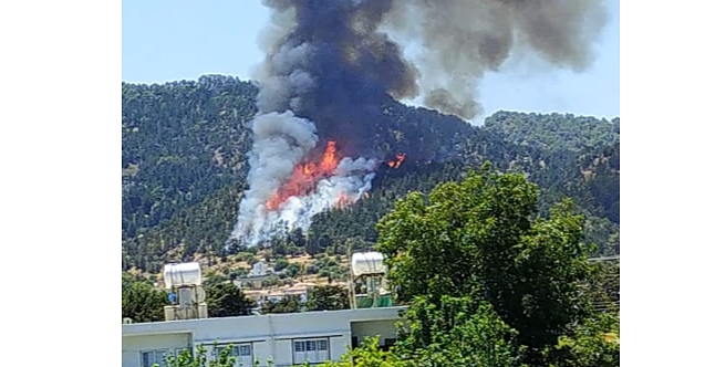 Karşıyaka'da orman yangını