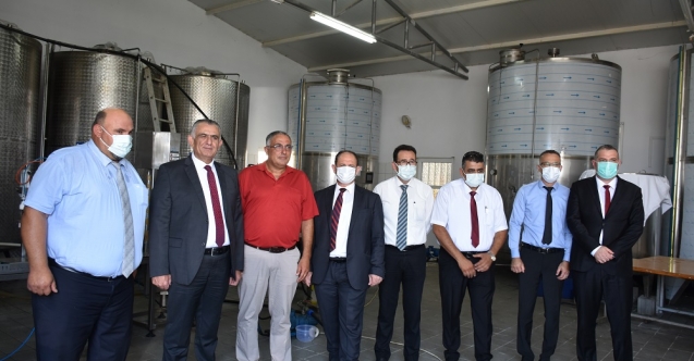 250 ton zeytinyağı Türkiye’ye ihraç ediliyor