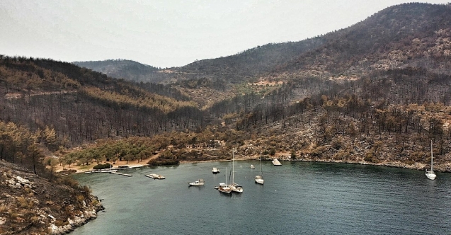 Bodrum simsiyah oldu