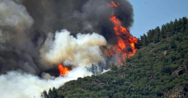 Yangında şimdilik 34 milyon zarar var
