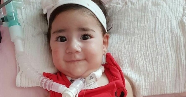 Asya Bebek için Rum yetkililere girişim
