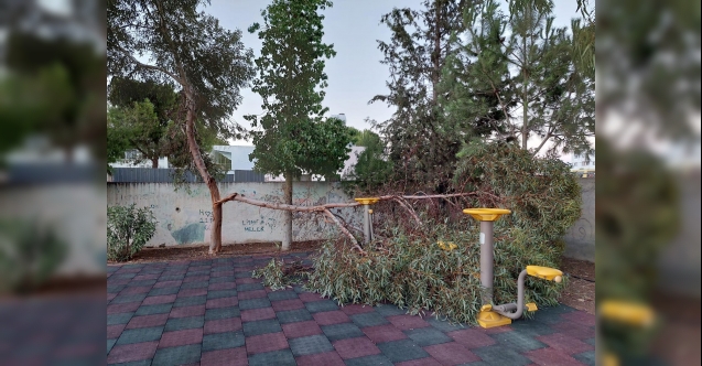Ya çocuklar orda olsaydı?