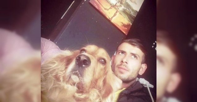Restorandaki köpek kavgası ölümle bitti