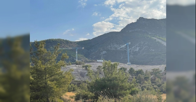 Tartışmalı arazi için Hayat Ormanı projesi