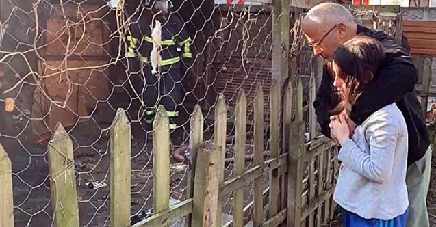 11 yavru köpek yanarak öldü