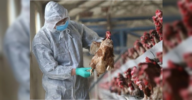 Avrupa ve Asya'da yeni salgın: Milyonlarca kişi ölebilir